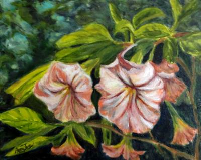"Trumpet Flowers" "Trumpet Flowers"