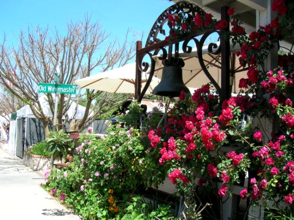 Winery Bell