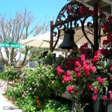 Winery Bell