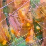 Pathways through space and time #8