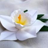 White Daffodil Hair Clip