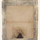 Susan Singleton