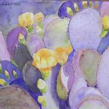 Purple Cactus