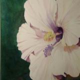 Fleur De Blanc ~ Watercolor ~  16X20