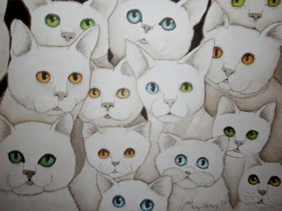 Cat eyes 