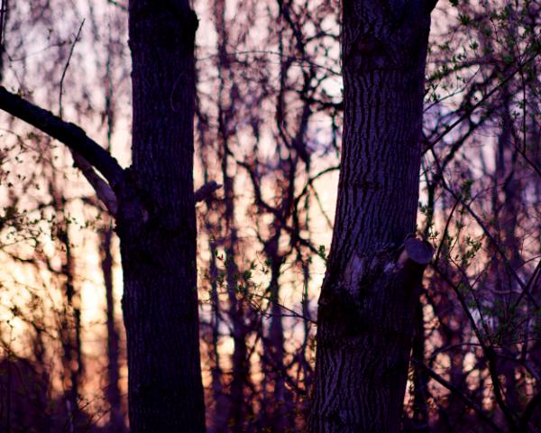 blotter sunrise (canon r50 ttartisan 50mm f/1.2)