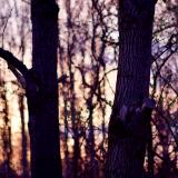 blotter sunrise (canon r50 ttartisan 50mm f/1.2)