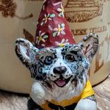 Corgling Gnome Chamomile Cardi