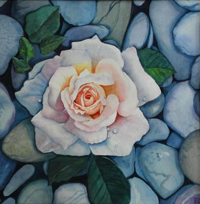Rock Rose Rock Rose