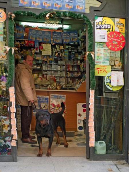 Italian Rotweiler