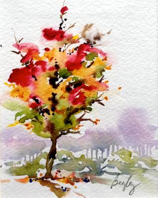 Autumn Glory Autumn Glory