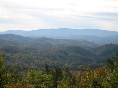 Foothills Parkway Vista