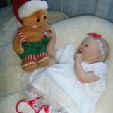 Christmas 2016 Show entry: Tammy (S.R) RUNNER UP WINNER!