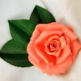 Light Peach Rose Pin