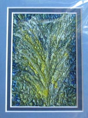 mini 5x7 matted mini 5x7 matted