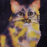 Scaredy Cat. (watercolor)