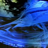 Reflective Collections Inc. - Glass Artist - Custom Glass Art Reflective Collections Inc. - Glass Artist - Custom Glass Art