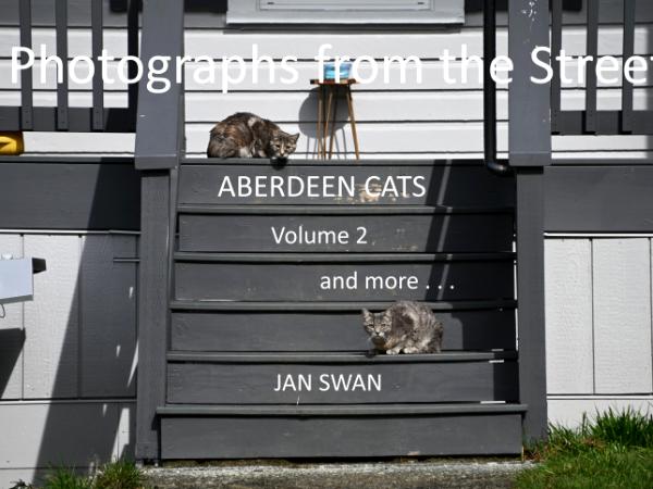 Photographs from the Street: Aberdeen Cats Volume 2, and more