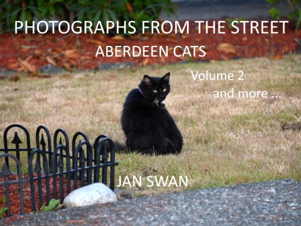 Photographs from the Street: Aberdeen Cats Volume 2, and more