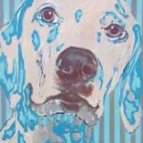 Blue Dog 2