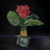 “Rose Coda”
