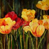 Red & Yellow Tulips SOLD