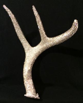 Deer Antler Deer Antler