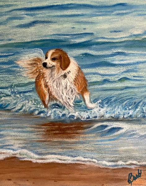 Fun in the Surf