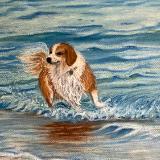 Fun in the Surf
