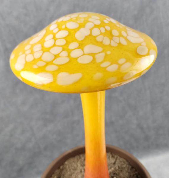 #04112407 LG mushroom with glass stake 13''Hx 6''W $100