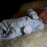 Reborn Baby Boy ~ Angel ~ ADOPTED/SOLD