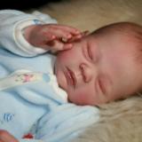Reborn Preemie Baby Boy ~ Landon ~ ADOPTED/SOLD