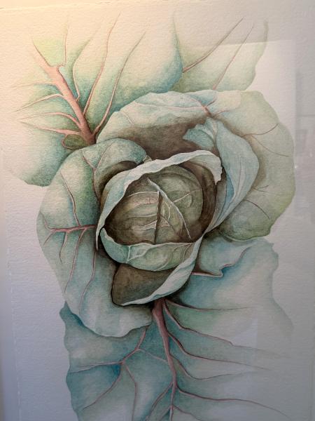 Janis Hatch
