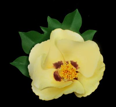 Sea Island Cotton Bloom Pin Sea Island Cotton Bloom Pin