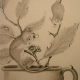  Pencil Drawing featuring Pigmy Possums SOLD