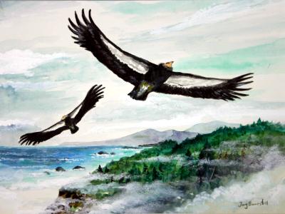 “Condors at Big Sur” “Condors at Big Sur”