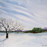 Winter Tree #46