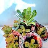 Multi Planter