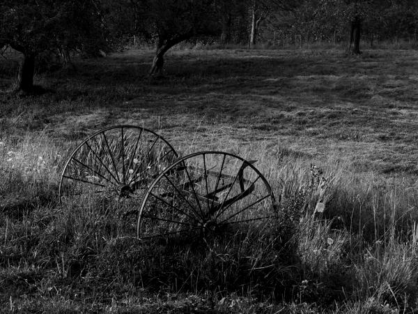 Vermont Farm