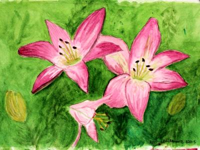 Lilies 2 Lilies 2