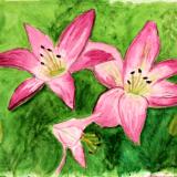 Lilies 2