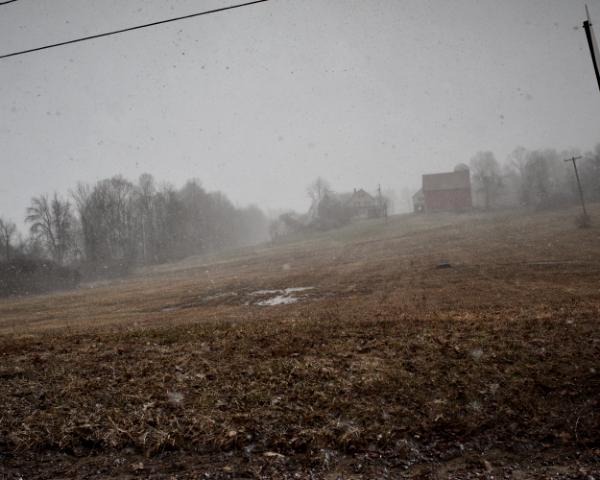 skunk hollow farm #1 (canon rf50 thypoch 28mm f/1.4)