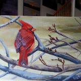 Sweet Cardinal