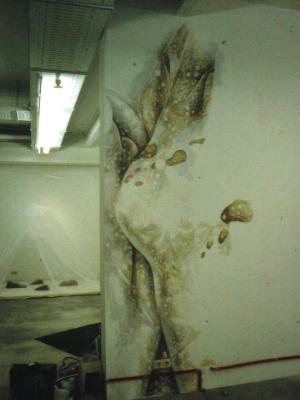 "Ein Lichtbildprojekt" at art agents gallery in Hamburg 2001