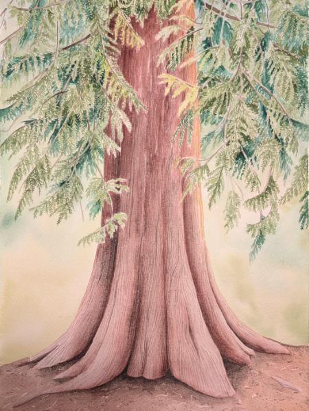 "Rooted"