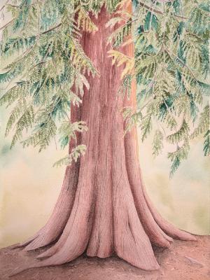 "Rooted" "Rooted"