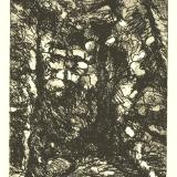 (8)Crevice