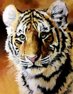 Young Tiger Young Tiger