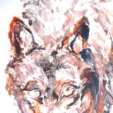 Monolobo 3