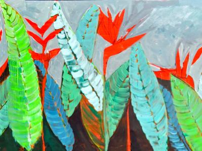 Birds of Paradise Birds of Paradise